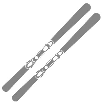 Ski Icon